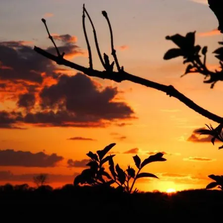 Beautiful With Sunset Over The Meadow! Stege